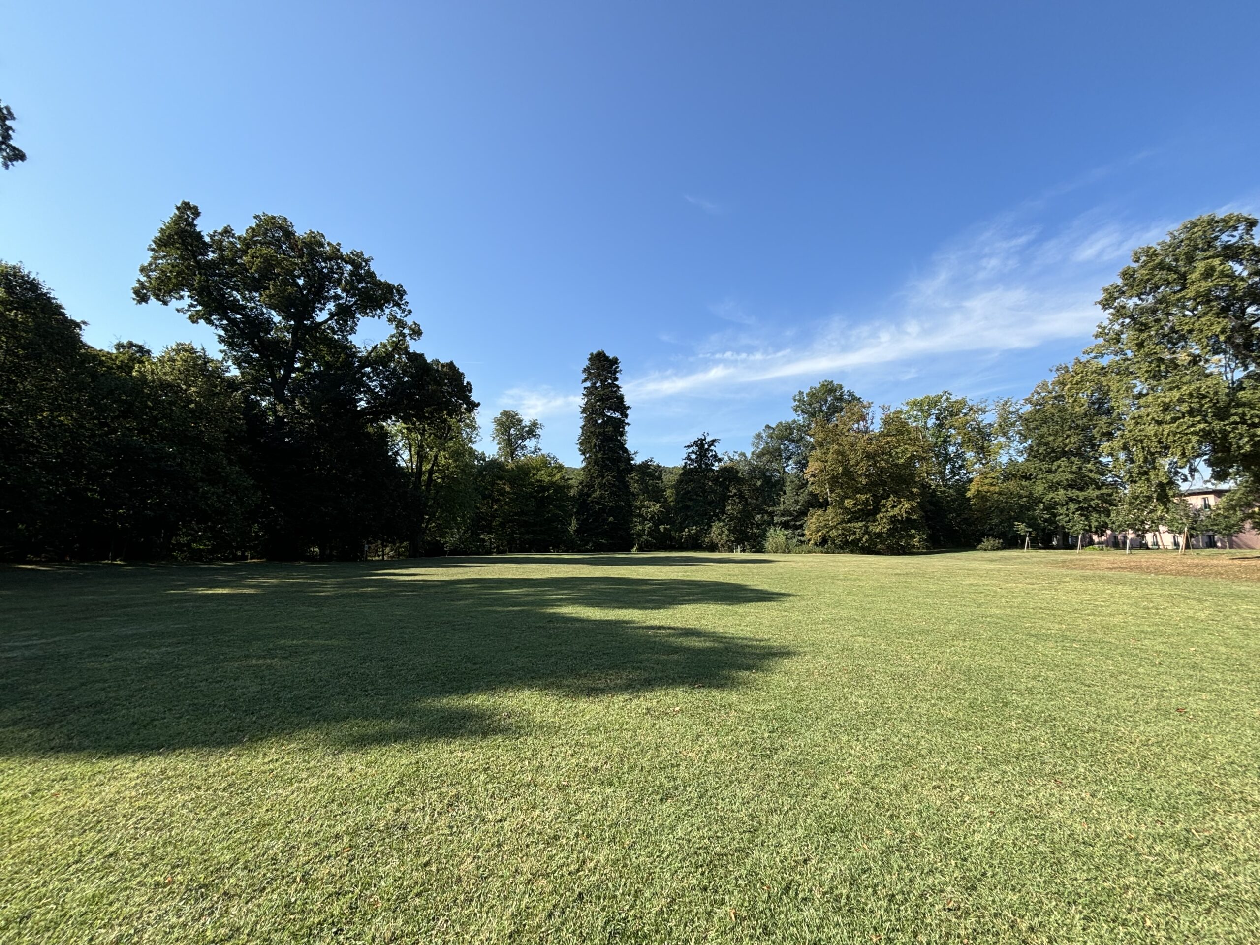 Europahaus Wien – Blick auf die Wiese vom Schloss Miller Aichholz aus