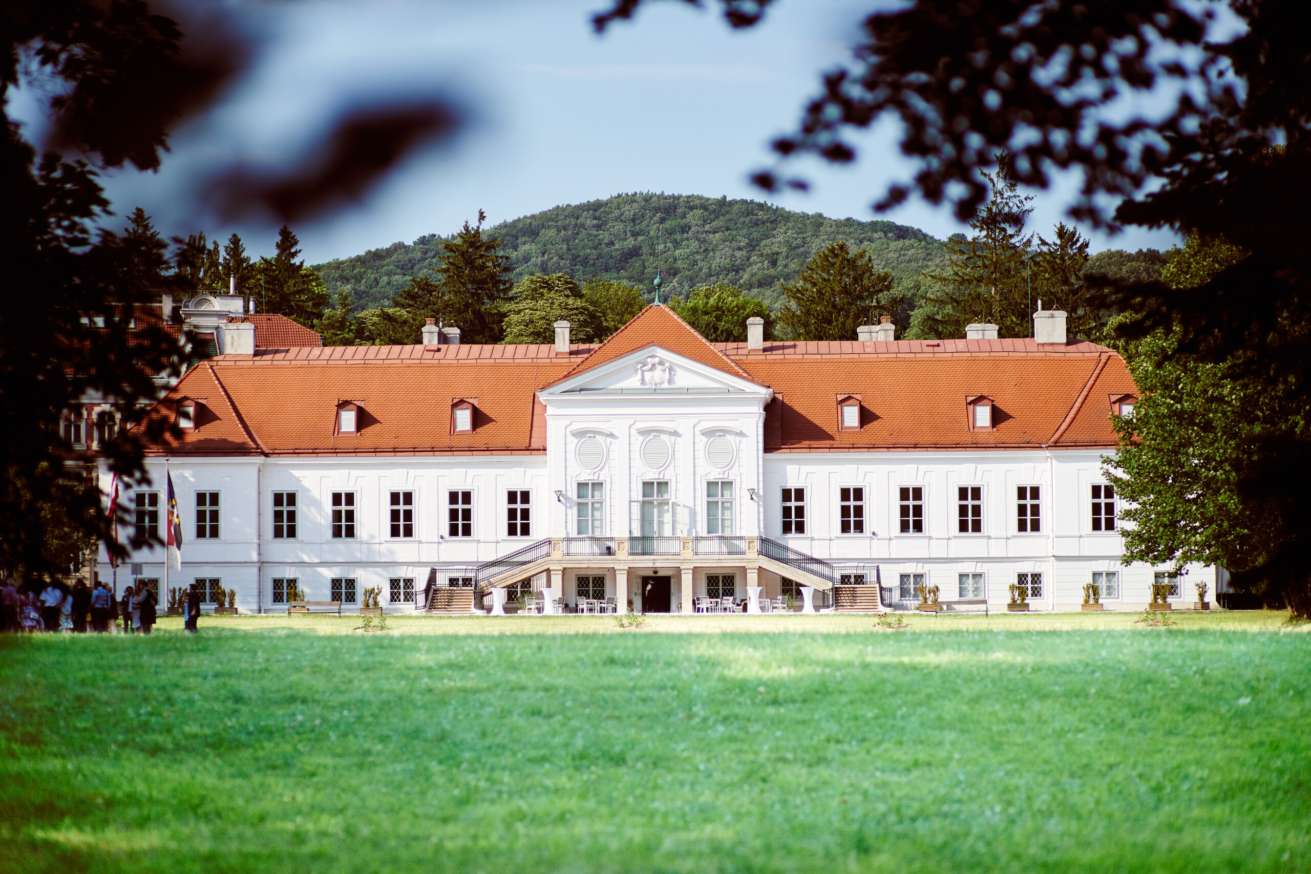 Wiese vor dem Schloss Miller-Aichholz Europahaus Wien